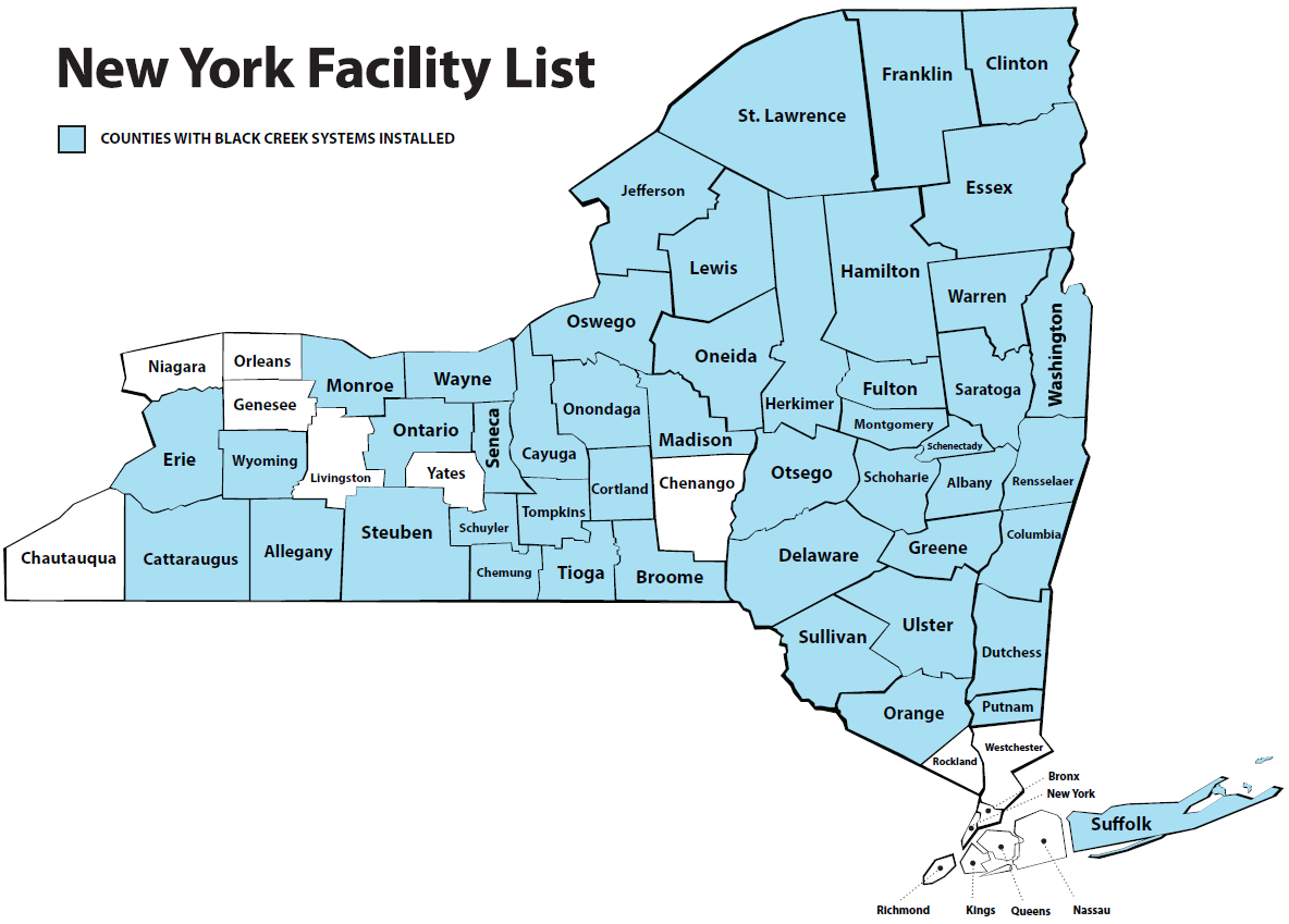 2023 | Brand Loyalty in New York