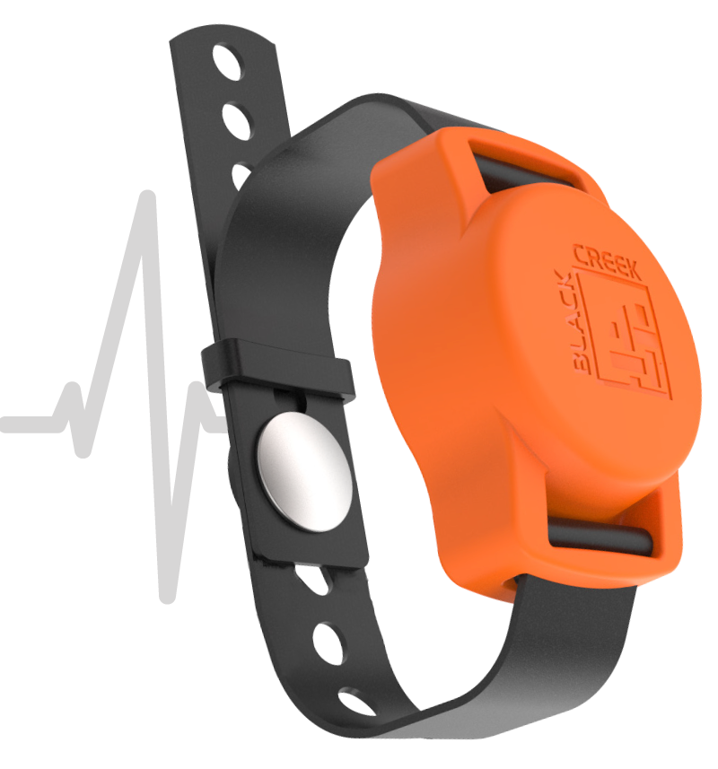 Black Creek's Sentry Care Personal Active Security Sensor (PASS) is a detainee wristband  that measures heartrate